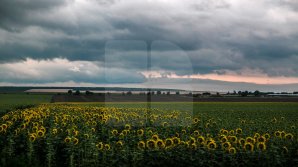 Прогноз погоды на 18 июля