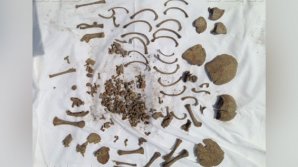 Жительница Ставрополья нашла в огороде останки младенца