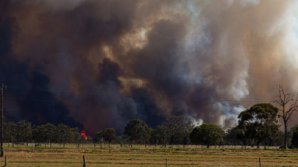 Птица села на провода и устроила масштабный пожар в Германии