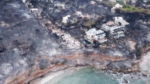 Власти Греции считают, что причиной пожаров стал поджог