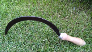 "Всё видел": Дедушка зарубил серпом пятимесячную внучку на глазах её брата