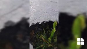 Без предупреждающих знаков: метровая яма в центре столицы вызвала возмущение водителей