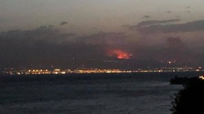 Число погибших во время пожаров в Греции возросло до 79