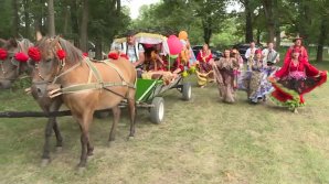 В селе Бравича прошло состязание знатоков упряжки
