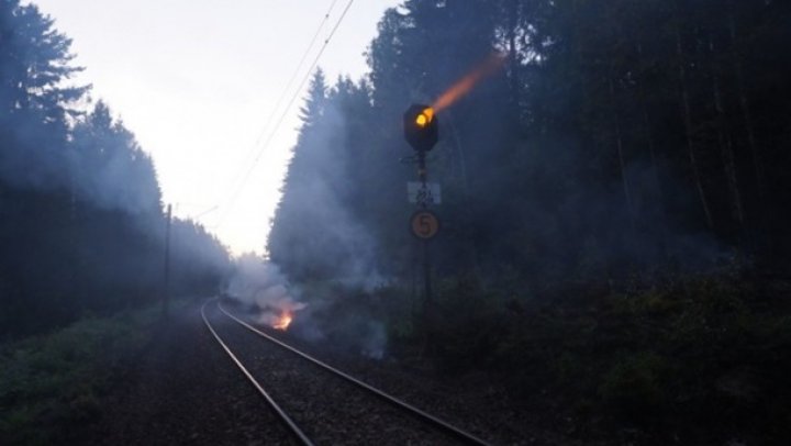 Норвегию охватили лесные пожары