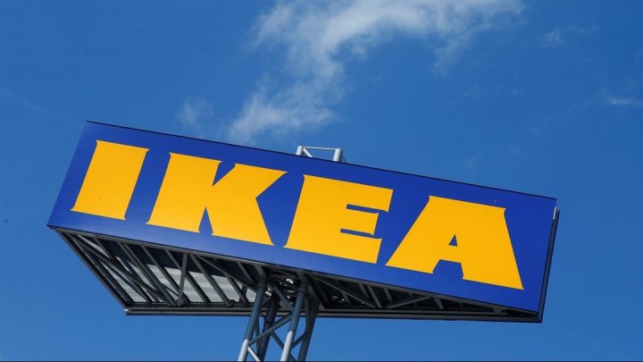 IKEA отзывает поилки для питомцев после того, как в них задохнулись две собаки