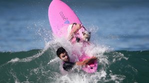 В Тихом океане состоялся чемпионат по собачьему серфингу