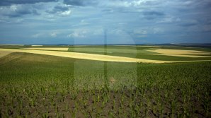 Прогноз погоды на 13 августа