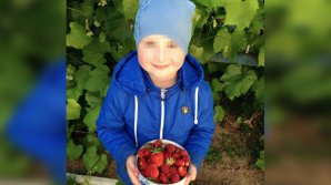 Эксперты установили причину смерти ребёнка, запертого в машине в Подмосковье