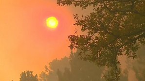 Двое мужчин стали жертвами жары в Испании