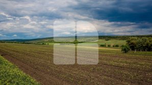 Прогноз погоды на 12 августа