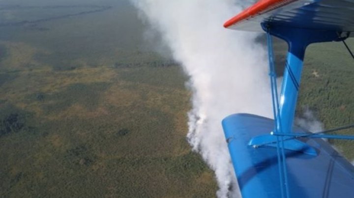 В Беларуси горят Ольманские болота