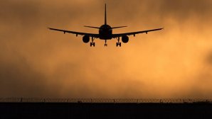 Стюардесса получила предложение руки и сердца и потеряла работу 