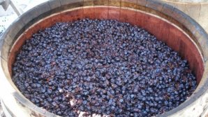 В Басарабяске обнаружили без сознания 84-летнюю женщину: всему виной забродившее молодое вино