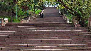 Ремонт лестницы в парке Valea Morilor выполнен на 40%