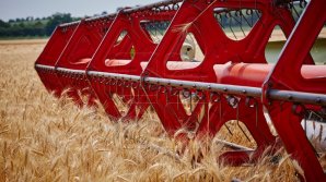 Мужчина погиб, попав под комбайн в Фалештском районе 