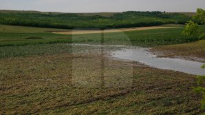 Прошедшие дожди нанесли ущерб в ряде населённых пунктов страны