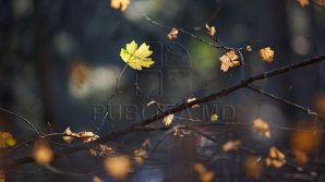 Синоптики предрекают долгую и засушливую осень