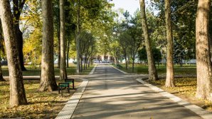 Прогноз погоды на 26 октября