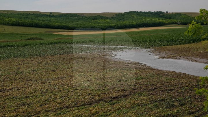 Прошедшие дожди нанесли ущерб в ряде населённых пунктов страны