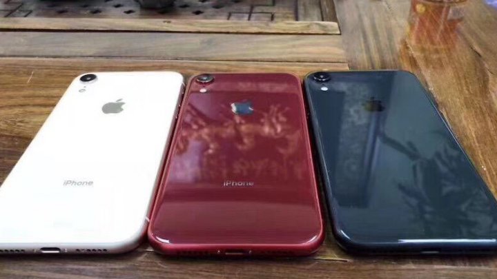 Новый бюджетный iPhone появился на фото в разных цветах