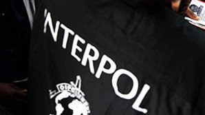 Мертвого сотрудника Интерпола нашли в Екатеринбурге