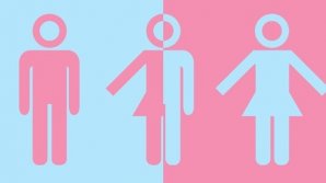 В Нидерландах впервые выдали паспорт с нейтральным полом