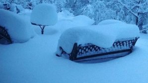 Францию накрыл снегопад: толщина снега в некоторых регионах достигла 40 сантиметров