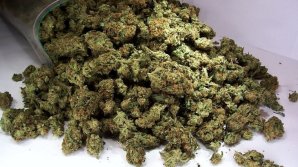 В парламенте Испании обсудят легализацию марихуаны