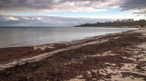 В Одессе отступило море: фото