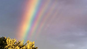 Аномальная радуга восхитила пользователей Сети