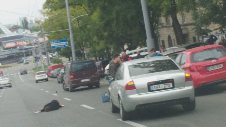 На бульваре Негруцци сбили женщину