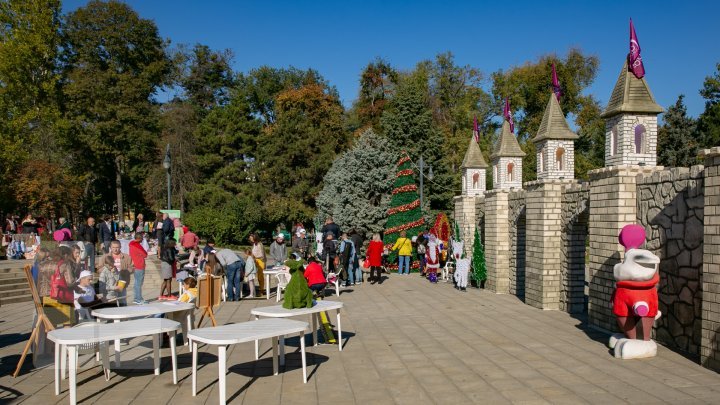 Новогодняя ель в центре столицы была установлена незаконно