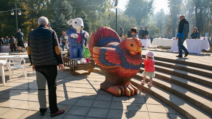 Новогодняя ель в центре столицы была установлена незаконно