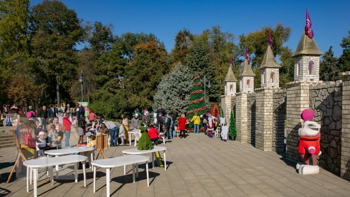 Новогодняя ель в центре столицы была установлена незаконно