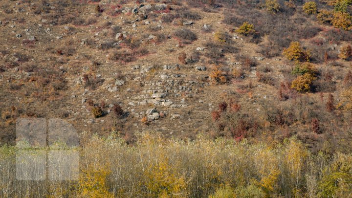 В культурно-природном заповеднике "Орхеюл Векь" открыли шесть новых маршрутов (фото) 