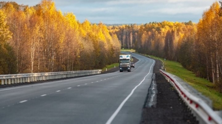 Автобус с туристами съехал в кювет в Карелии