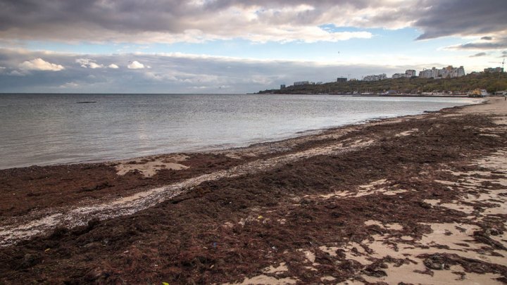 В Одессе отступило море: фото