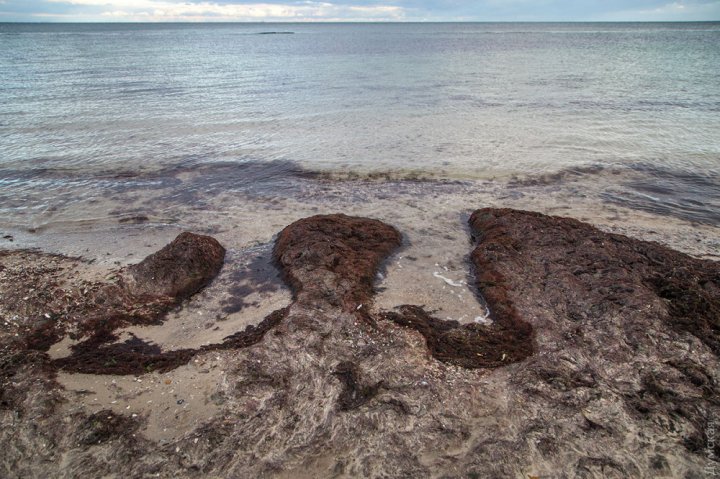 В Одессе отступило море: фото