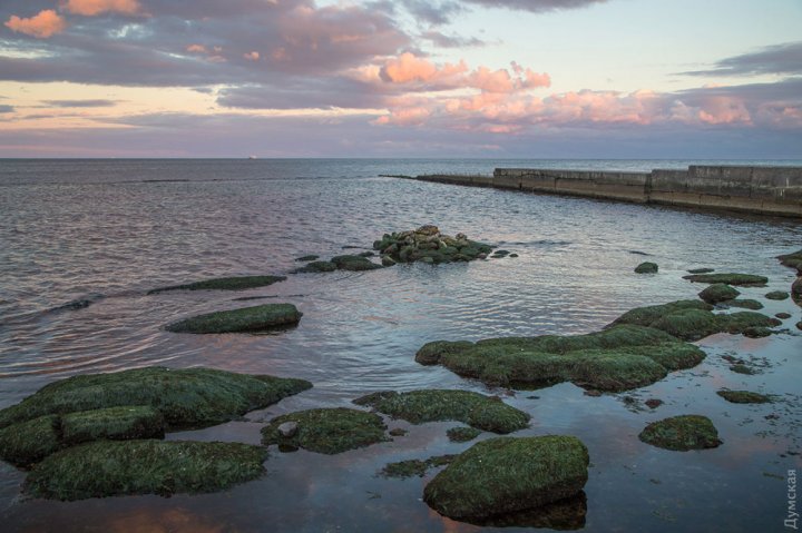 В Одессе отступило море: фото