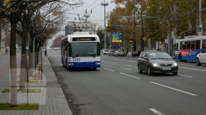 С 5 по 31 марта ряд троллейбусов и автобусов изменят свой маршрут