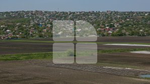 Все субсидии для сельского хозяйства в этом году выбраны: фермерам выдали помощи на миллиард леев