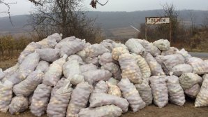 Фермер обвинил депутата ЛДПМ в манипуляции: Я не собирался выбрасывать яблоки