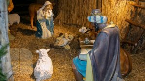 Счастливого рождества: Публика ТВ желает вам благополучия, процветания и радости