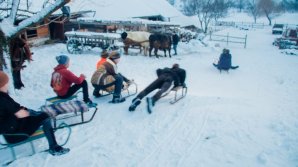 В пансионатах страны активно бронируют места на новогодние праздники