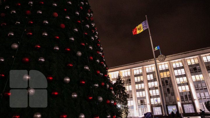 В столице зажгли огни на главной елке страны