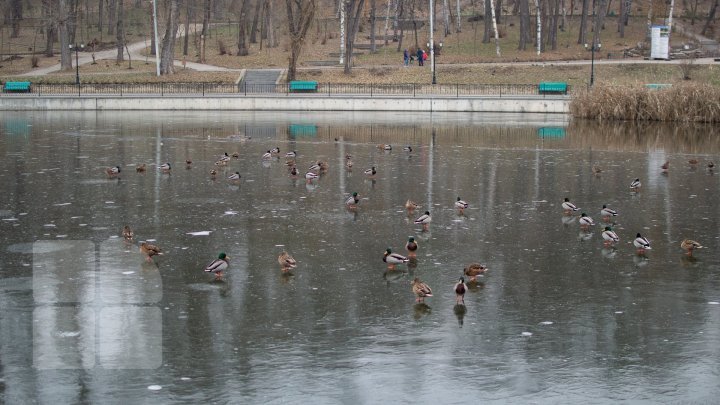 Прогноз погоды на 13 декабря