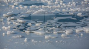 Житель Дубоссарского района погиб, провалившись под лед на Днестре