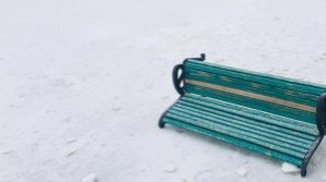 Зеленхоз: камеры в парке Валя Морилор бесполезны