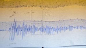 В Польше произошло землетрясение магнитудой 4,9 